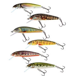 Salmo Minnow Crankbaits
